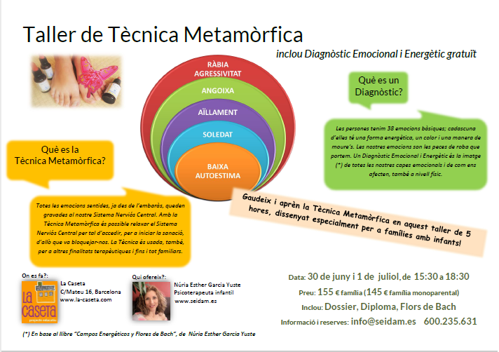 xerrada-gratuita-a-carrec-de-nuria-esther-garcia-yuste-sobre-la-tecnica-metamorfica