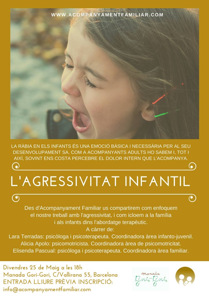 xerrada-garatuita-lagressivitat-infantil-a-la-sala-gorigori
