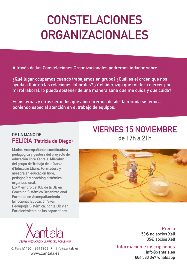constelaciones-organizacionales