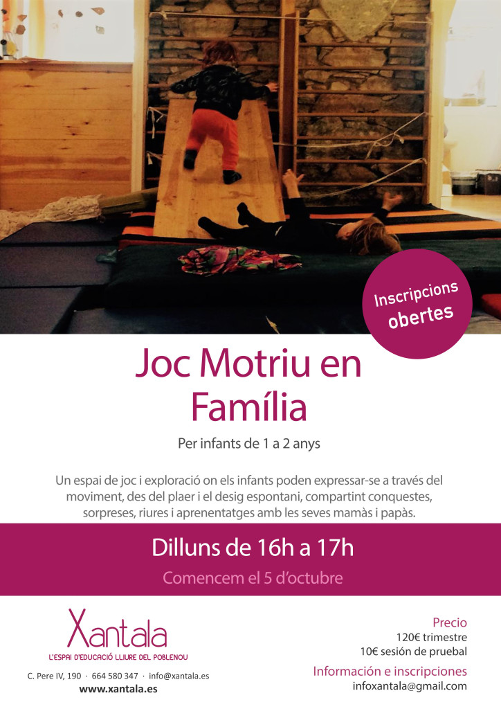 joc-motriu-en-familia